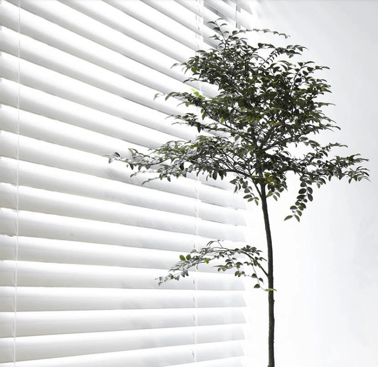 Discover More from Somfy, Custom Window Treatments